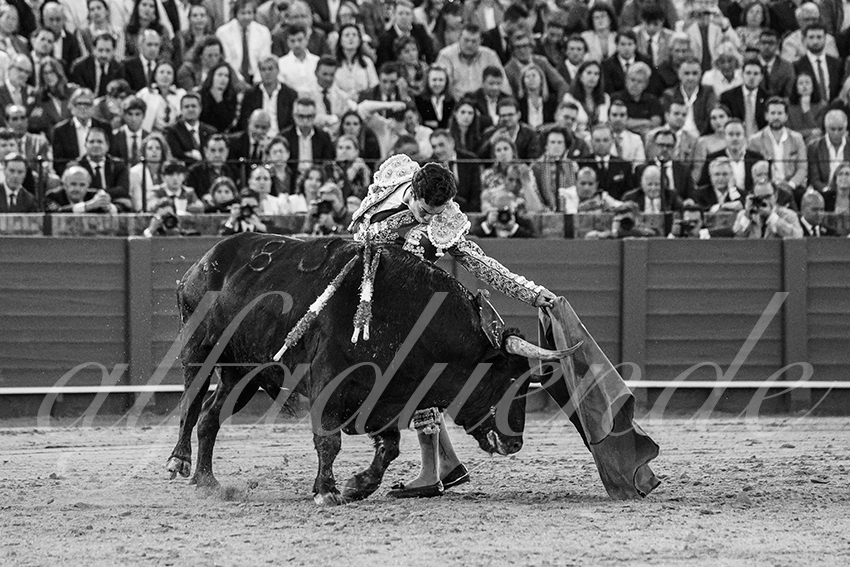 20250509 sevilla 042 fd