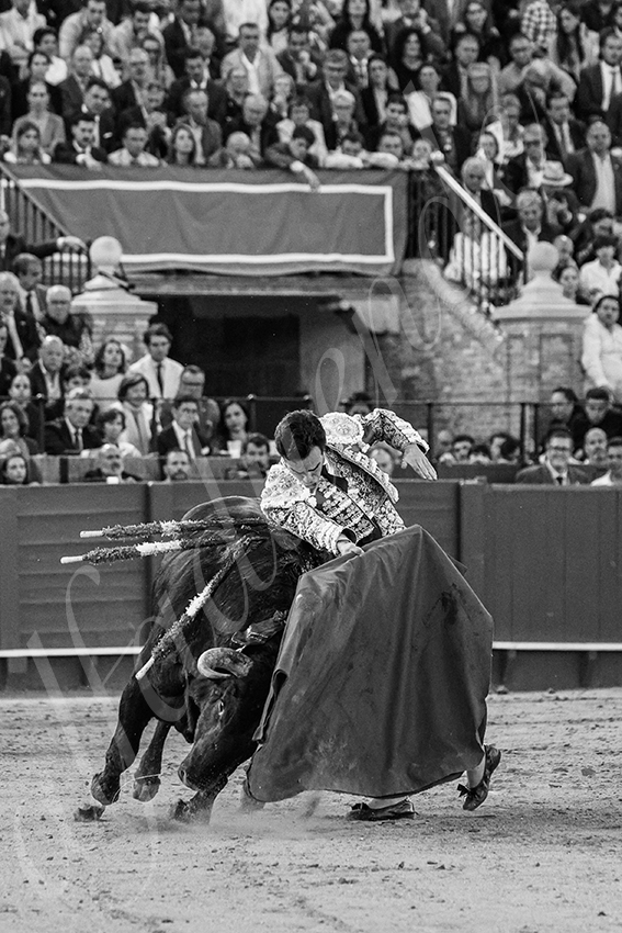 20250509 sevilla 041 fd