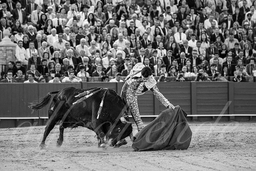 20250509 sevilla 040 fd