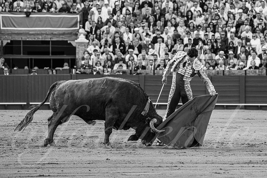 20250509 sevilla 039 fd