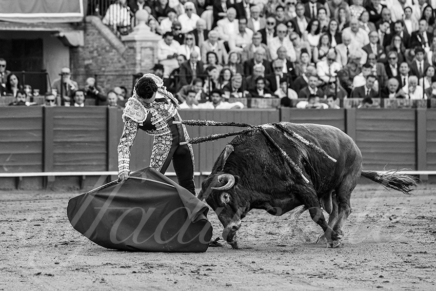 20250509 sevilla 038 fd