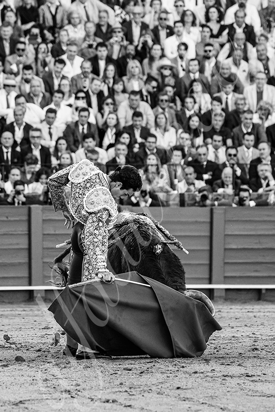 20250509 sevilla 037 fd