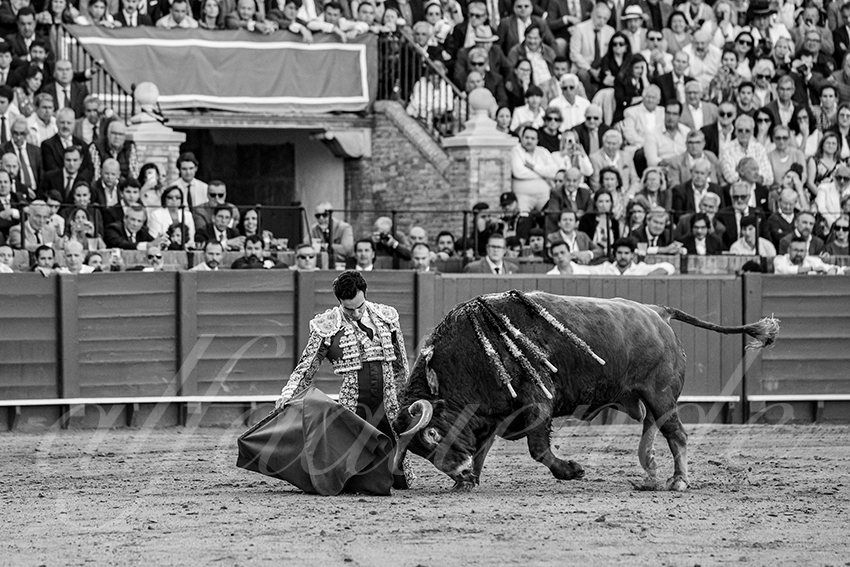 20250509 sevilla 036 fd