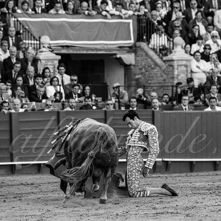 20250509 sevilla 035 fd