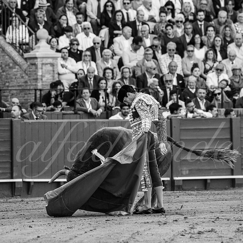 20250509 sevilla 034 fd