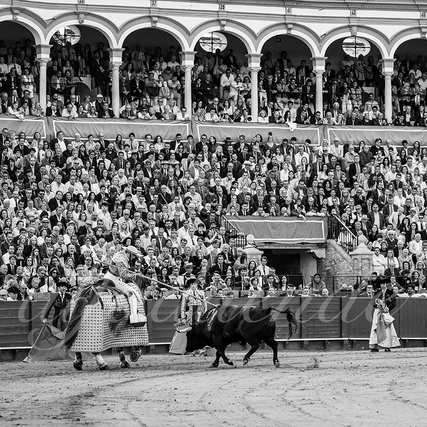 20250509 sevilla cuadrillas 007 copie