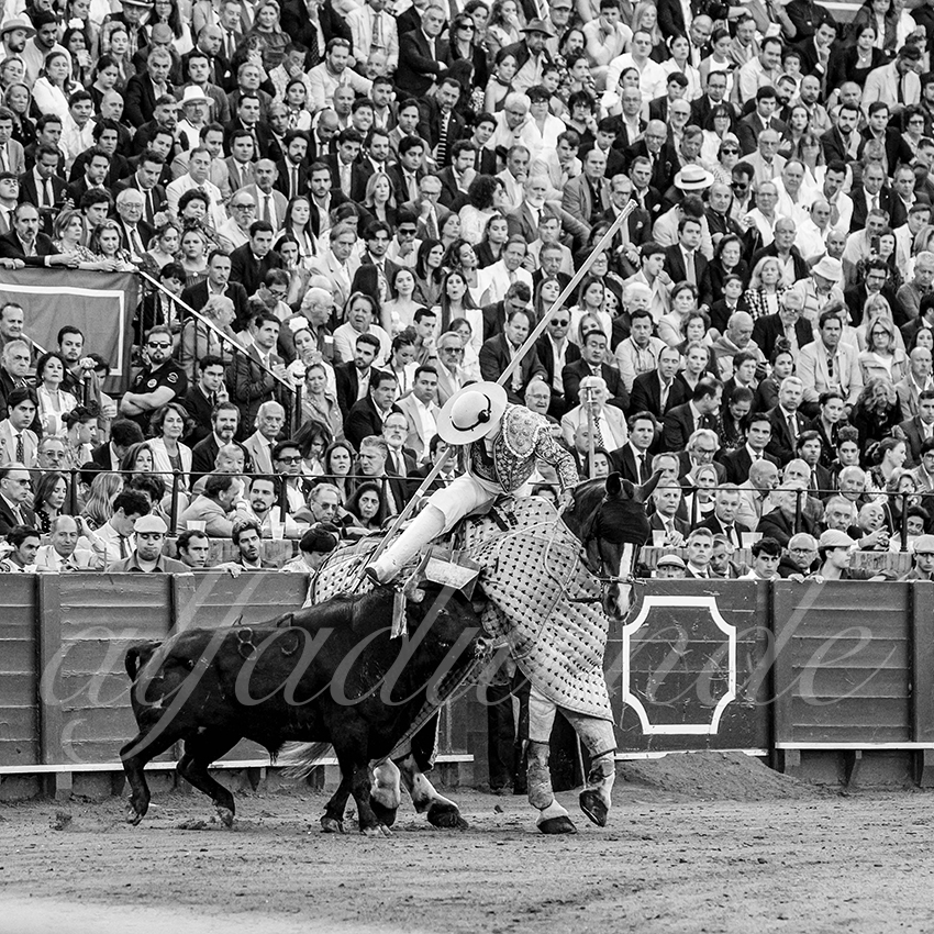 20250509 sevilla cuadrillas 006 copie