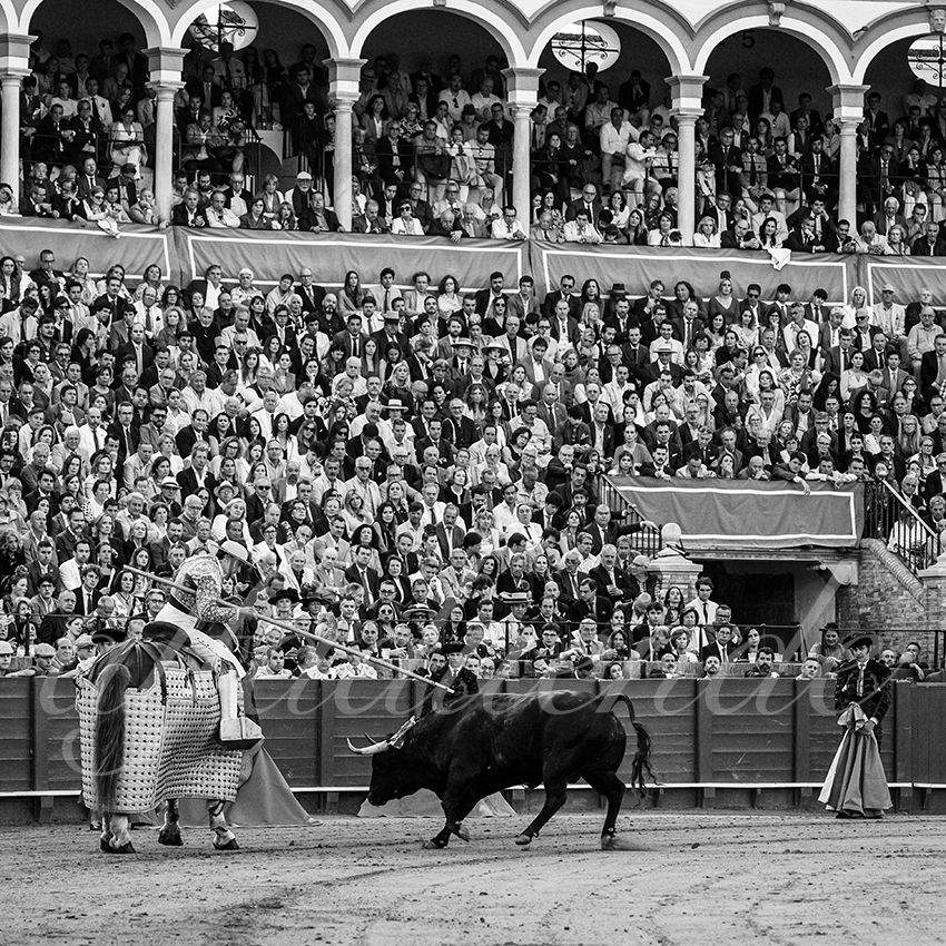 20250509 sevilla cuadrillas 005 copie