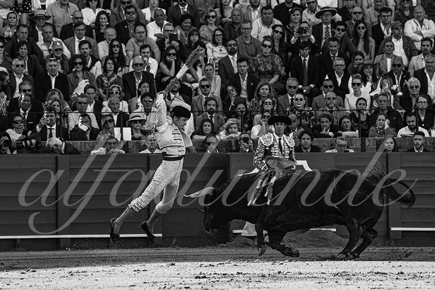 20250509 sevilla cuadrillas 004 copie