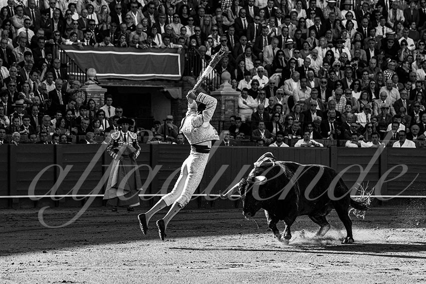 20250509 sevilla cuadrillas 003 copie