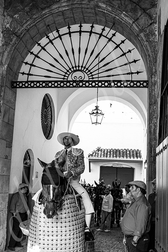 20250509 sevilla cuadrillas 001 copie