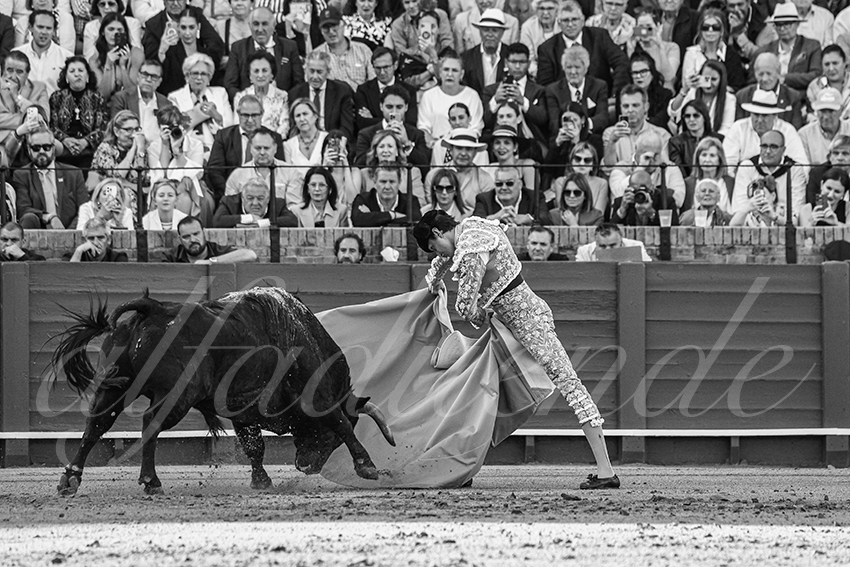 20250510 sevilla 011 fd