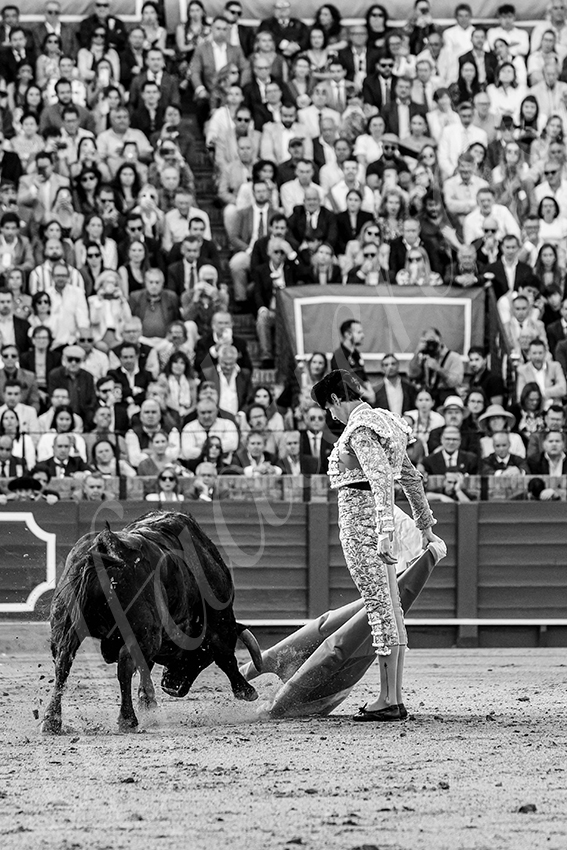 20250510 sevilla 010 fd