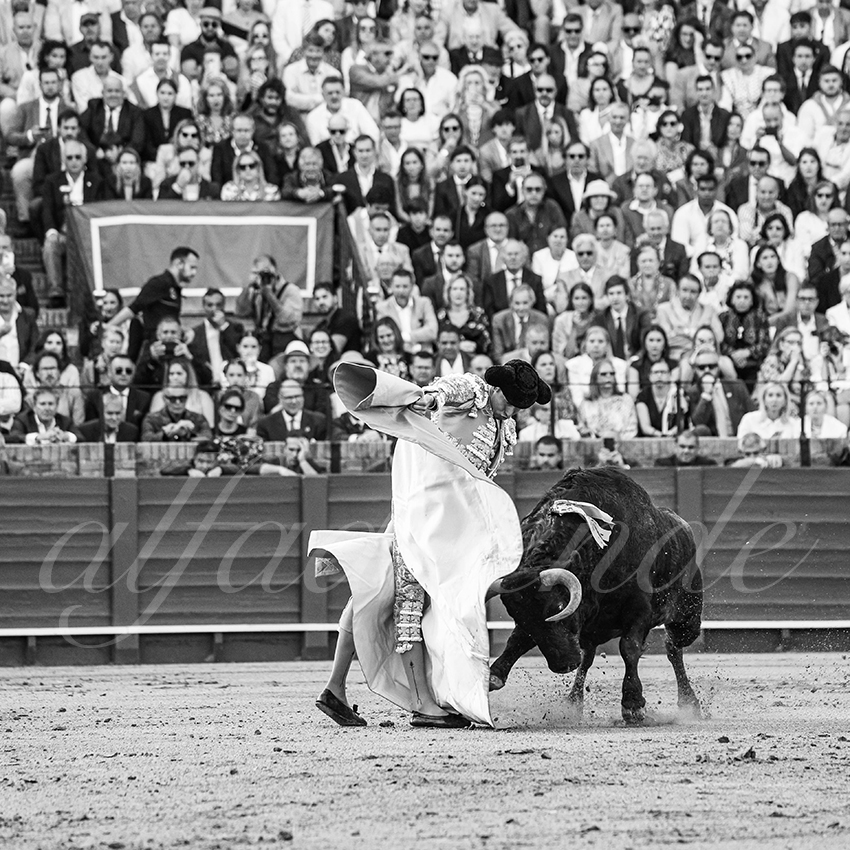 20250510 sevilla 009 fd