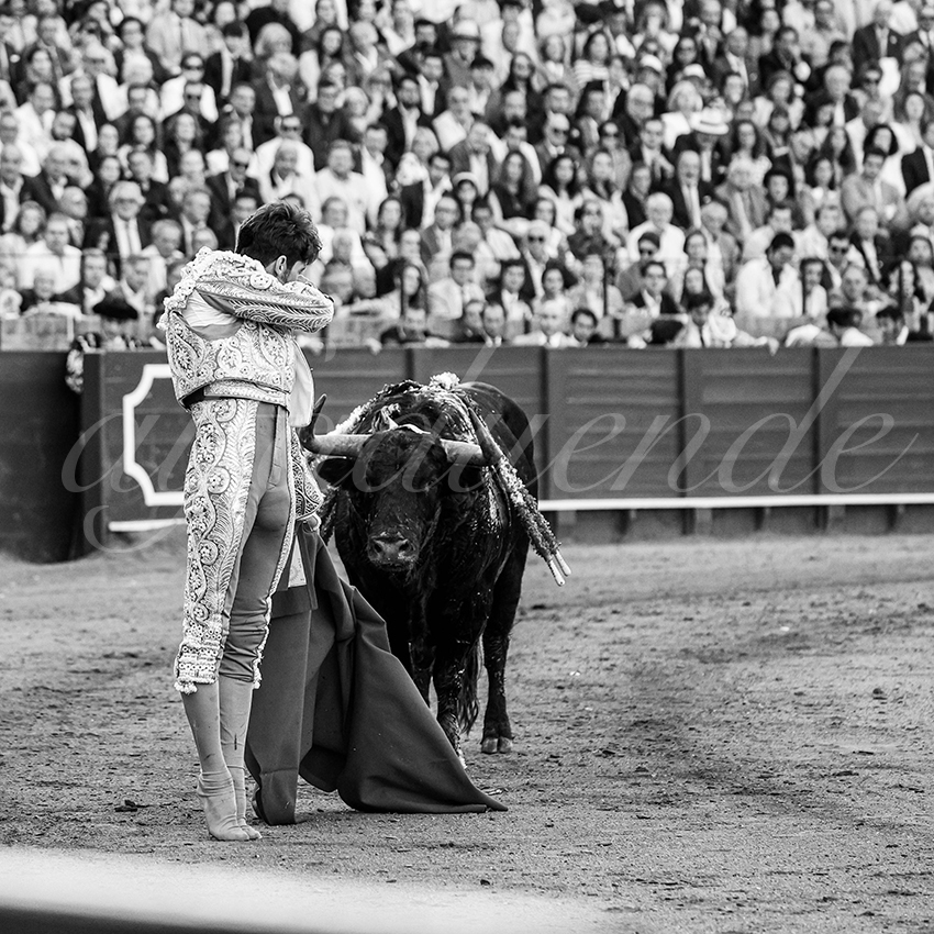 20250510 sevilla 008 fd