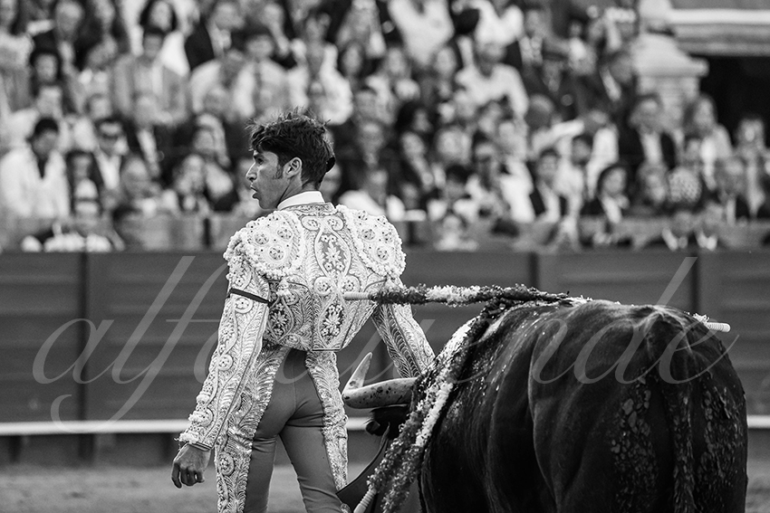 20250510 sevilla 007 fd