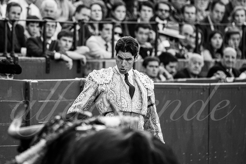 20250510 sevilla 006 fd