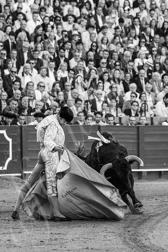 20250510 sevilla 005 fd