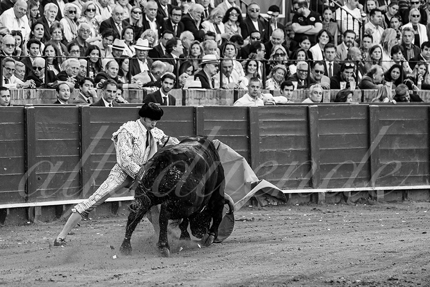 20250510 sevilla 004 fd