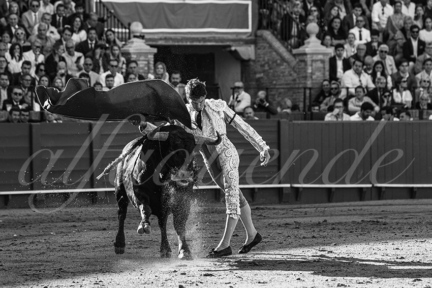 20250510 sevilla 003 fd