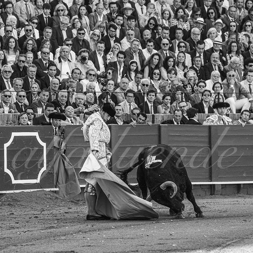 20250510 sevilla 002 fd