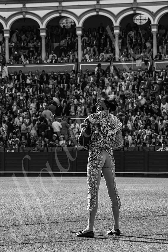 20250510 sevilla 001 fd