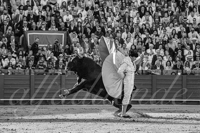 20250510 sevilla 022 fd