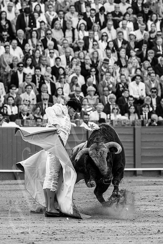 20250510 sevilla 021 fd