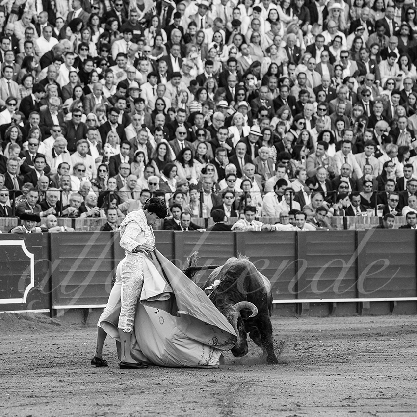 20250510 sevilla 020 fd