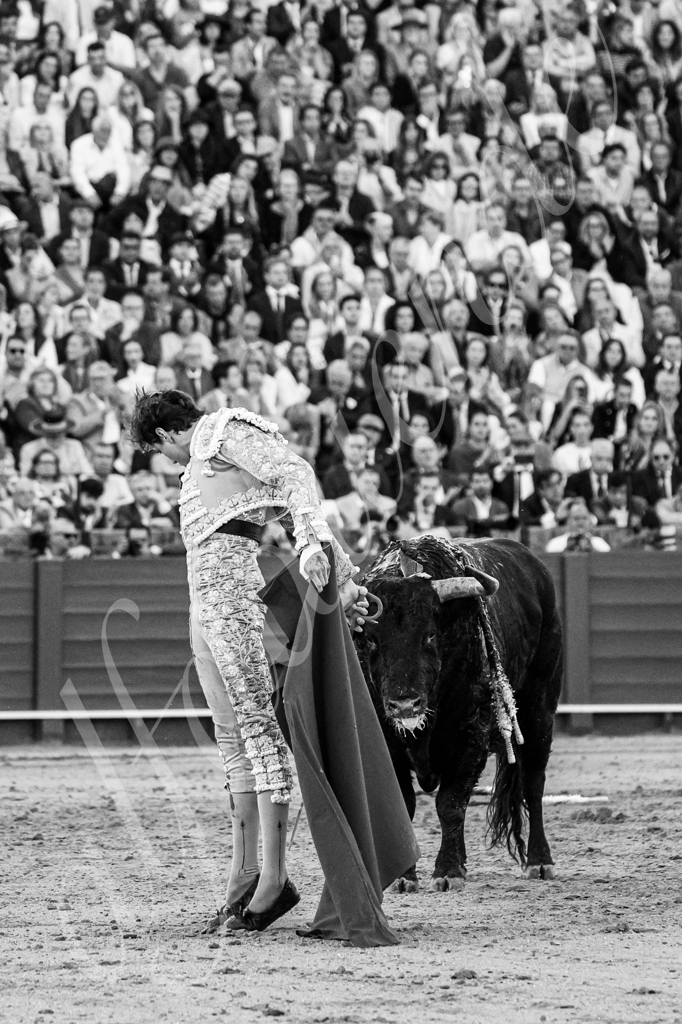 20250510 sevilla 019 fd