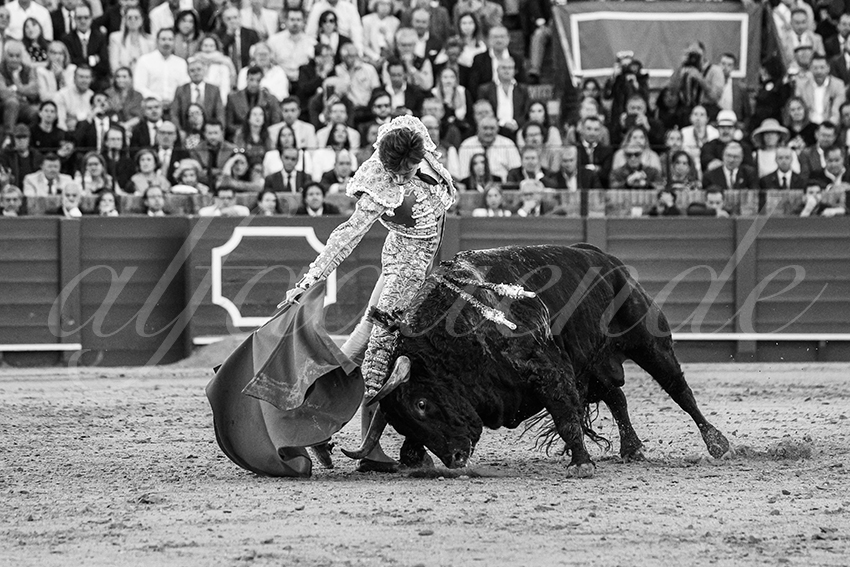 20250510 sevilla 018 fd