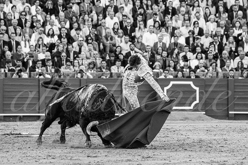 20250510 sevilla 017 fd