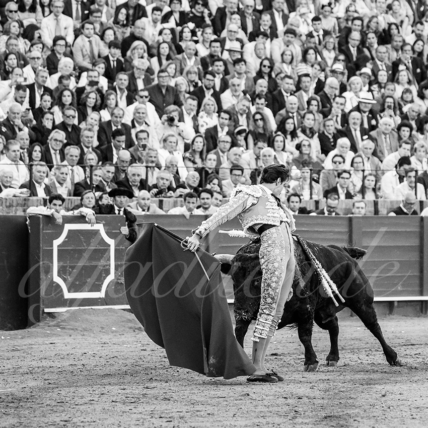 20250510 sevilla 016 fd