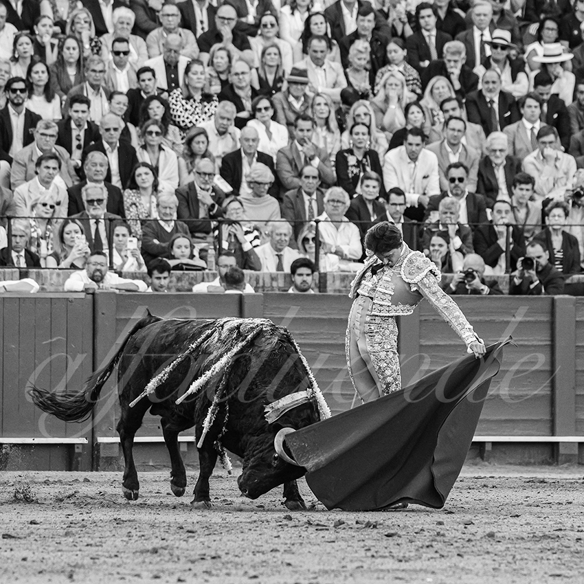 20250510 sevilla 015 fd