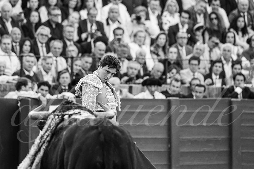 20250510 sevilla 014 fd