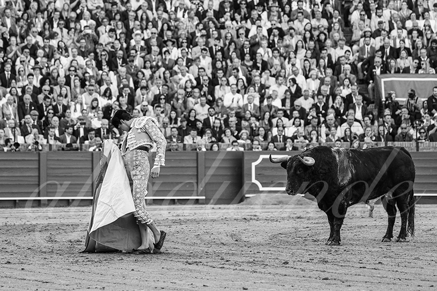 20250510 sevilla 013 fd