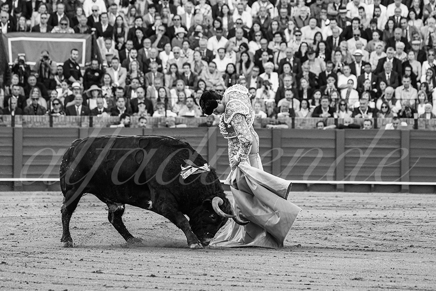 20250510 sevilla 012 fd