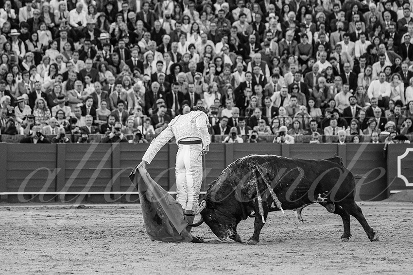 20250510 sevilla 032 fd