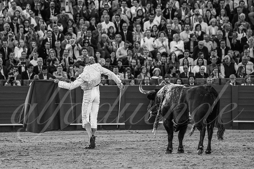 20250510 sevilla 031 fd