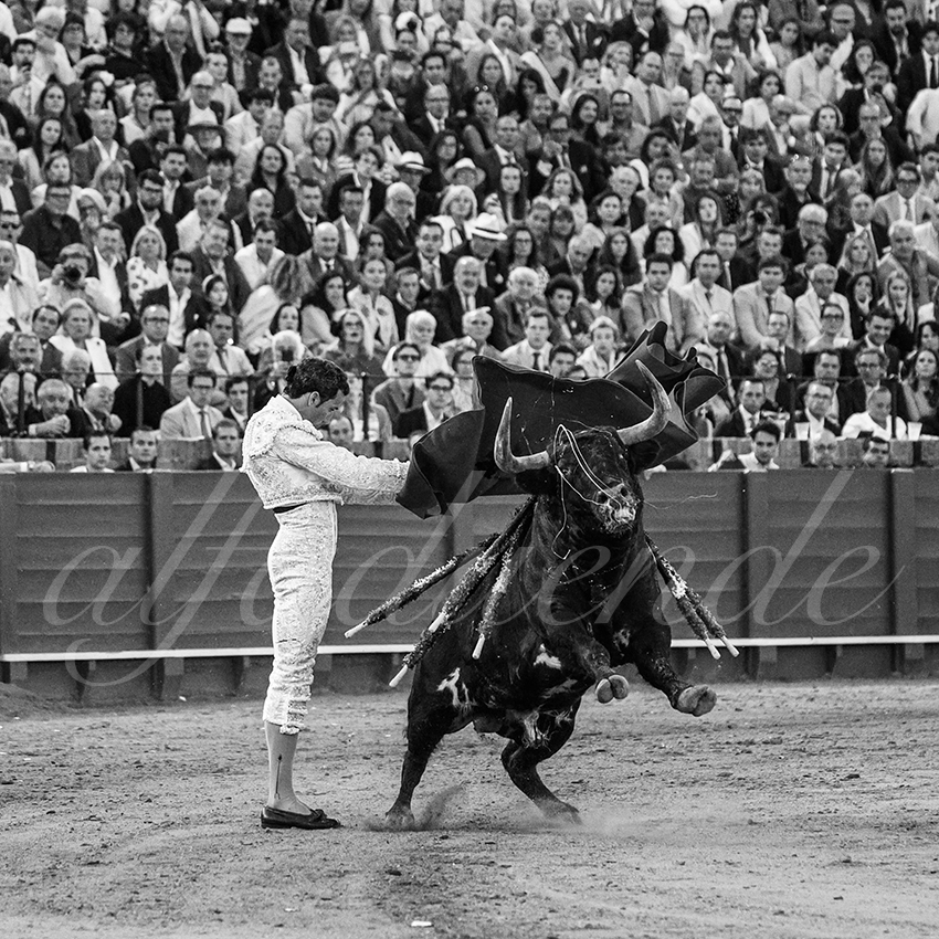 20250510 sevilla 030 fd