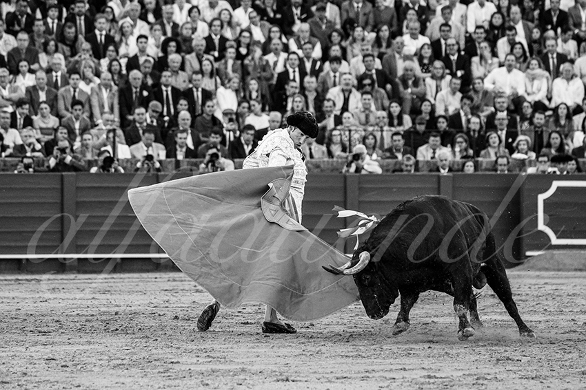 20250510 sevilla 029 fd