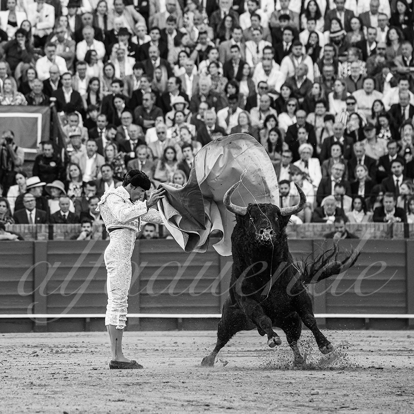 20250510 sevilla 028 fd