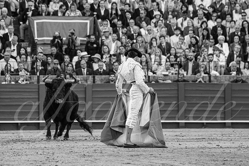 20250510 sevilla 027 fd