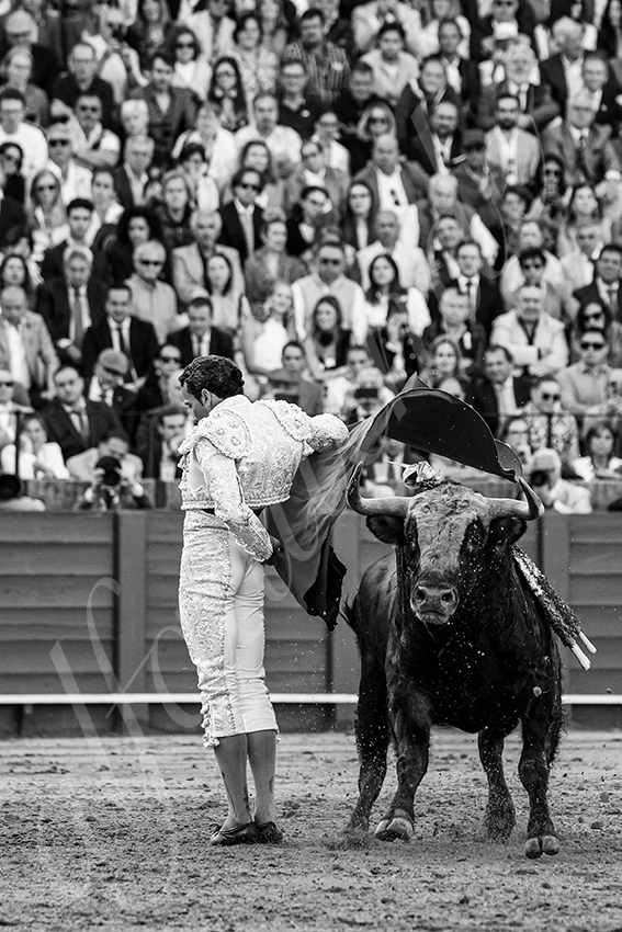 20250510 sevilla 026 fd