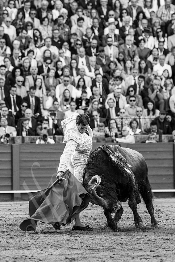 20250510 sevilla 025 fd