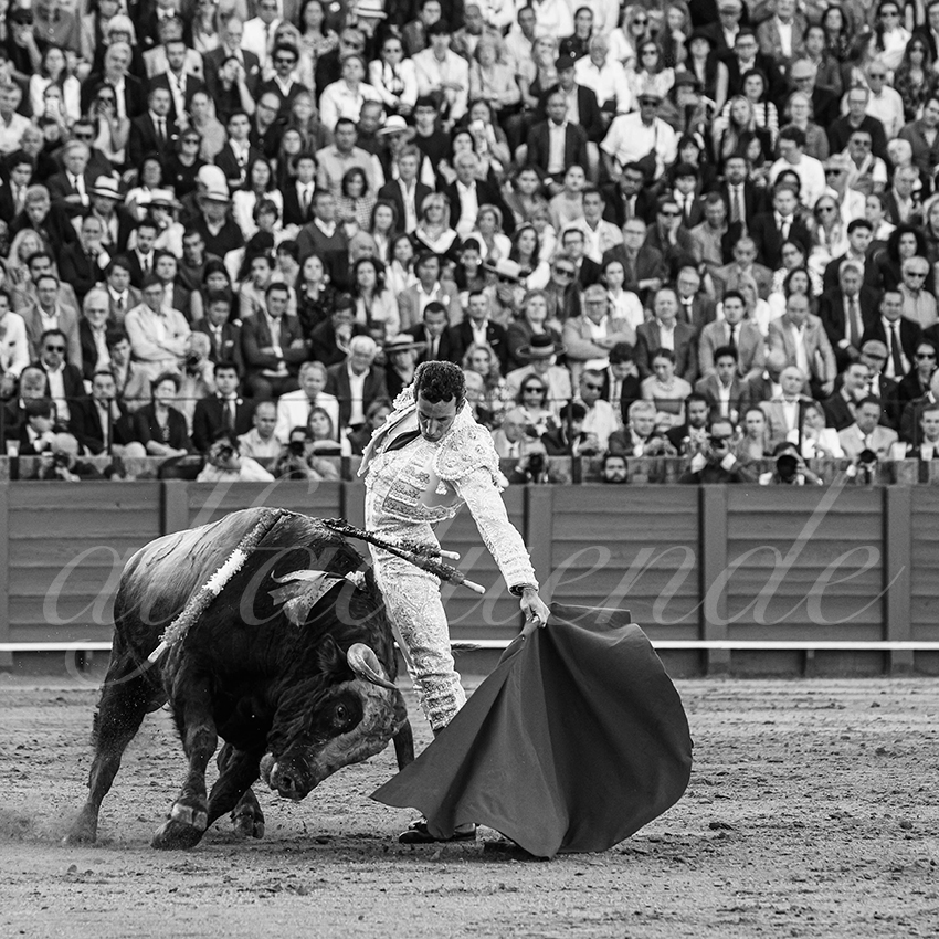 20250510 sevilla 024 fd