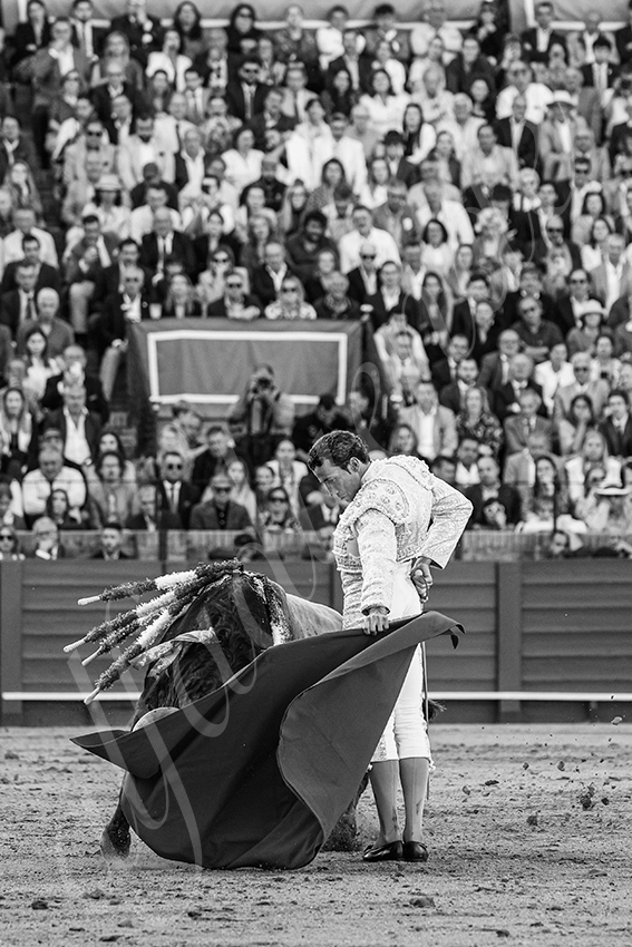 20250510 sevilla 023 fd