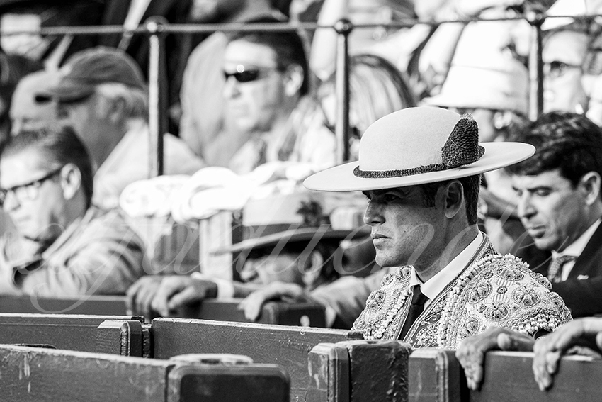 20250510 sevilla cuadrillas 007 copie
