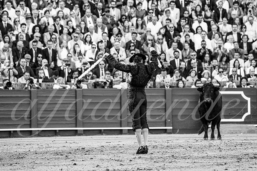 20250510 sevilla cuadrillas 006 copie