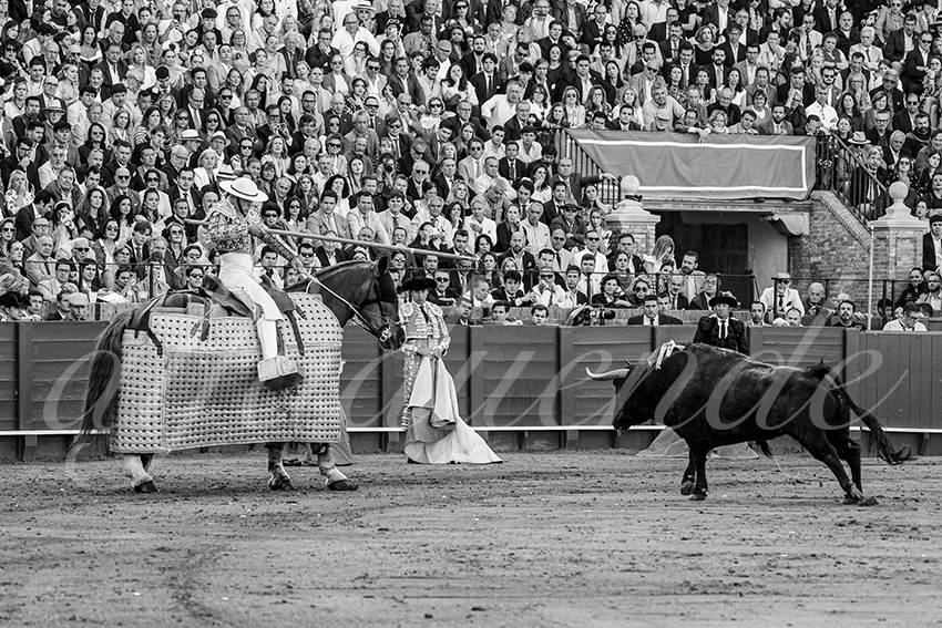 20250510 sevilla cuadrillas 005 copie